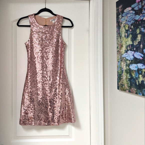 Beautiful Rose Gold Sequins Sparkly Dress - Picture 3 of 16